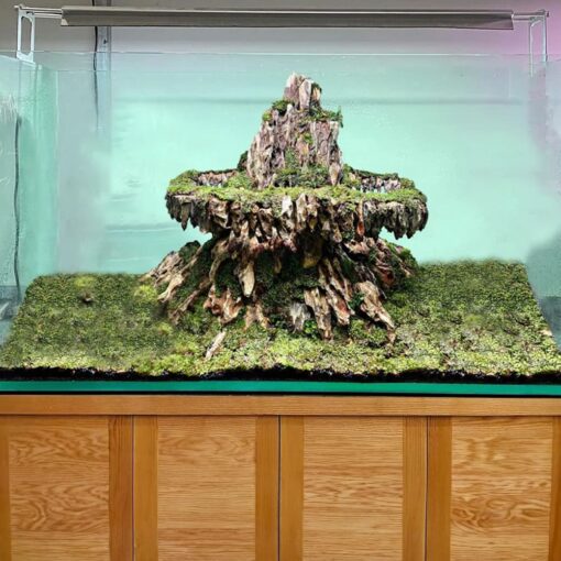 Aquarium dragon stone volcano dragon rock aquascape fish tank decorations