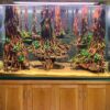 Aquascaping driftwood fish tank hardscape decorations