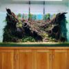 Aquascaping driftwood log cave fish tank decorations