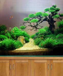 Driftwood bonsai tree aquarium aquascape plant wood fish tank decorations