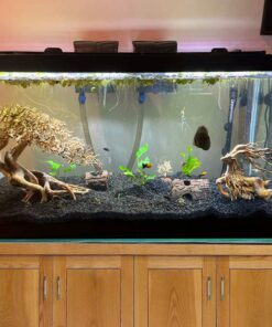Bonsai driftwood aquarium tree aquascaping wood fish tank plants