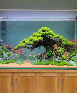 Bonsai driftwood aquarium tree plant decoration