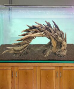 Bonsai driftwood for aquarium aquascape decor aquarium landscape fish tank decorations