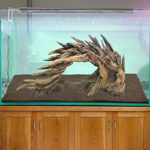 Bonsai driftwood for aquarium aquascape decor aquarium landscape fish tank decorations