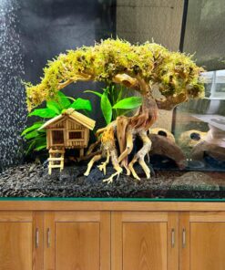 Bonsai driftwood with fish house aquarium fish tank decorations