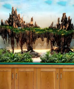 Driftwood aquarium aquascaping landscape island centerpiece fish tank