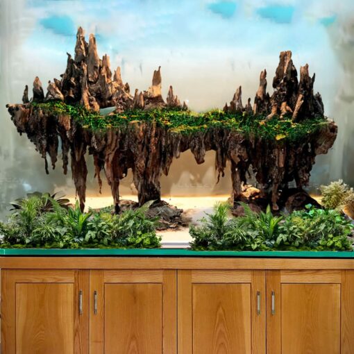 Driftwood aquarium aquascaping landscape island centerpiece fish tank