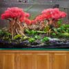 Driftwood aquarium freshwater fish tank decorations