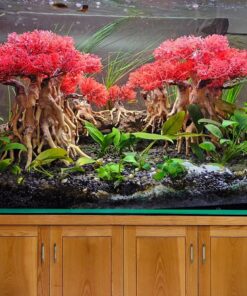 Driftwood aquarium freshwater fish tank decorations