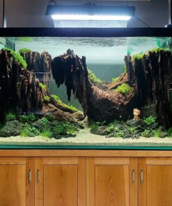 Driftwood aquarium wood aquascape hardscape layout fish tank decorations