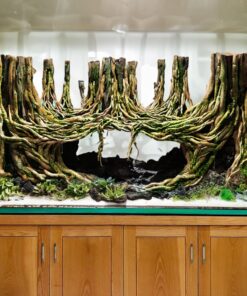 Driftwood aquarium hideout cave aquascape hardscape decor fish tank background