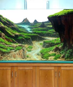 Driftwood aquarium large centerpiece hardscape landscape aquascaping