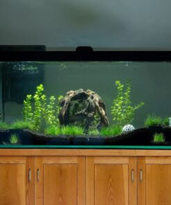 Natural driftwood round ball aquarium hideout aquascape landscape plants fish tank