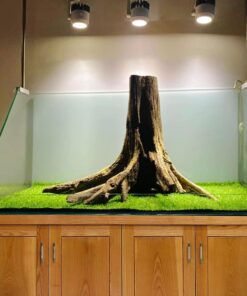 Natural driftwood stump aquascaping wood aquarium tree fish tank decor