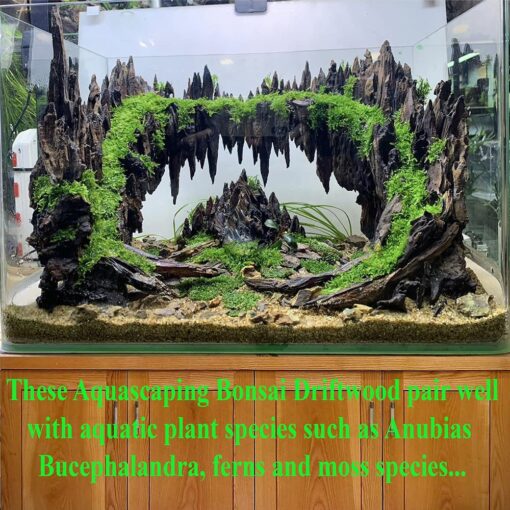 Driftwood aquarium aquascape hardscape centerpiece fish tank decoration