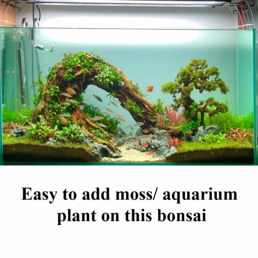 Bonsai driftwood aquarium wood aquascape hardscape decor fish tank plants