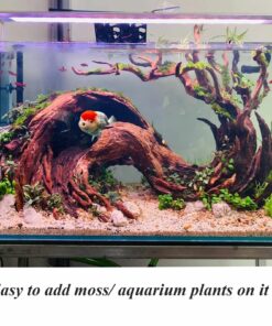 Aquarium driftwood art arch aquascape hardscape fish tank decoration