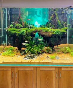 Driftwood aquarium aquascaping landscape island centerpiece fish tank